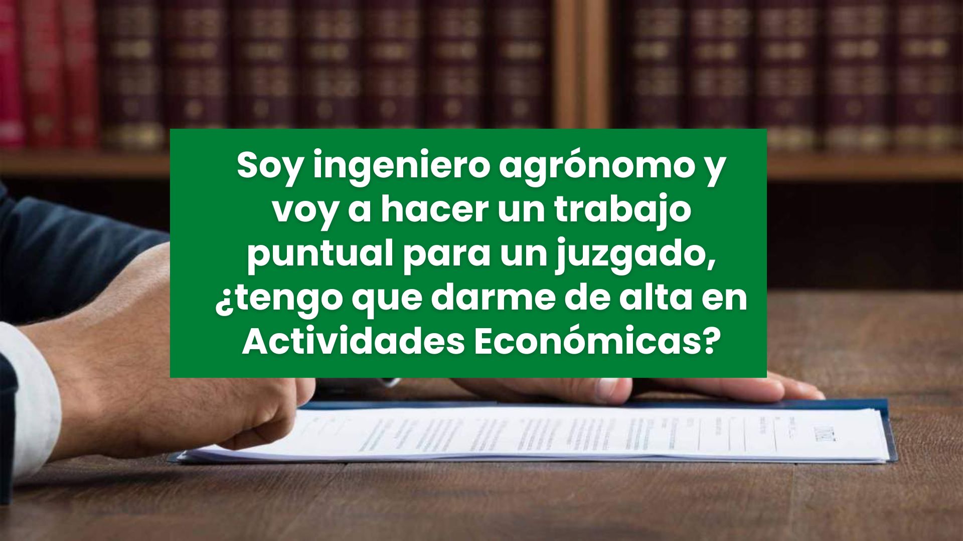 alta en Actividades Económicas