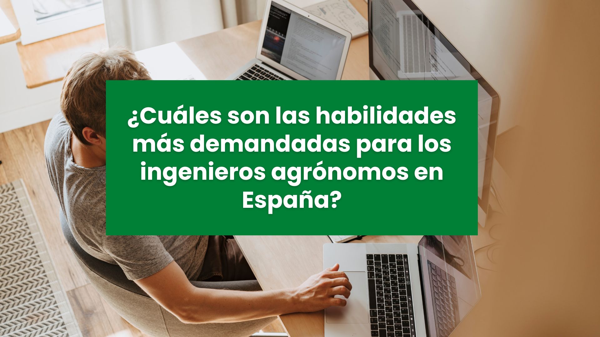 ¿Cuáles son las habilidades más demandadas para los ingenieros agrónomos en España?