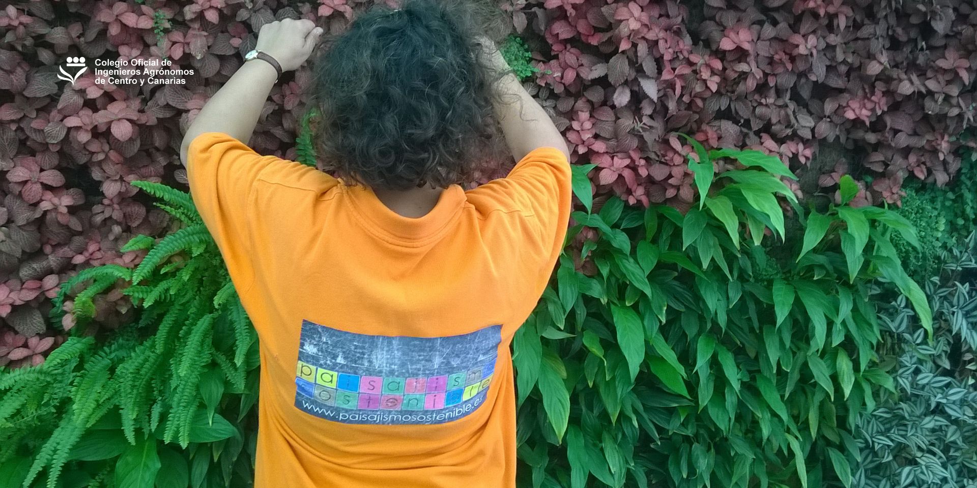 Gema Pérez: Un jardín sostenible es crear un espacio lo más parecido a la naturaleza para que adquiera su propio equilibrio