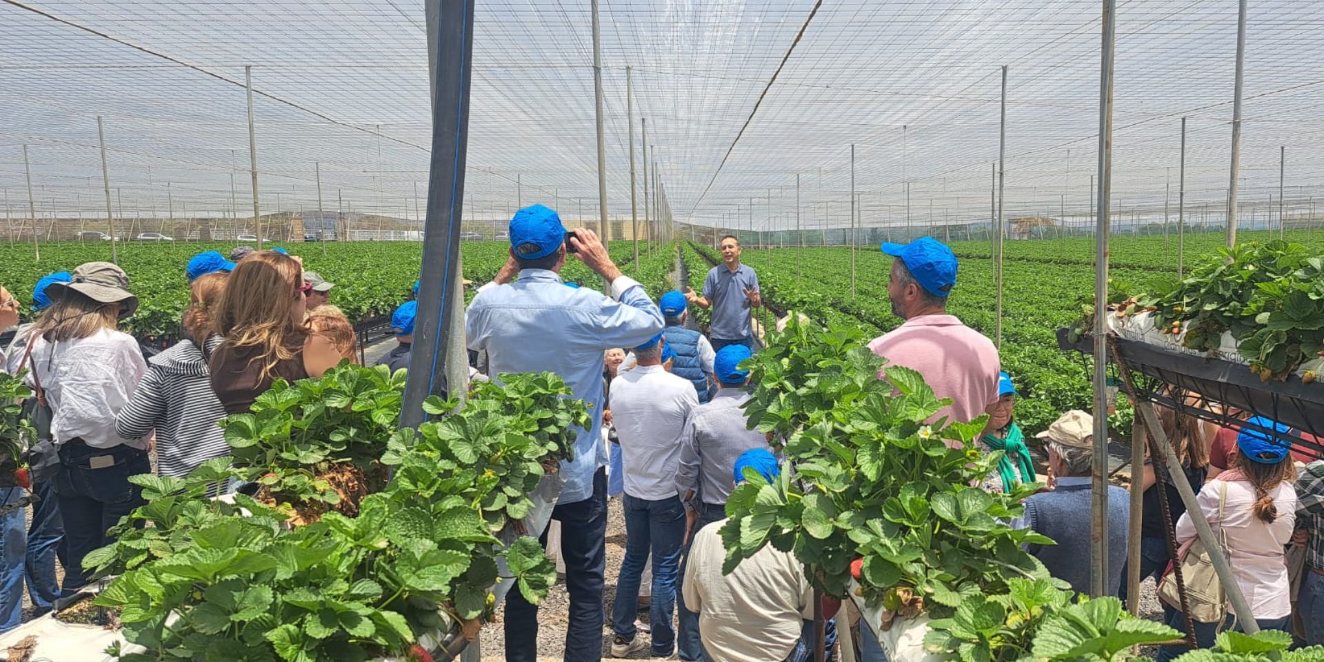Los ingenieros agrónomos celebran San Isidro en Tenerife