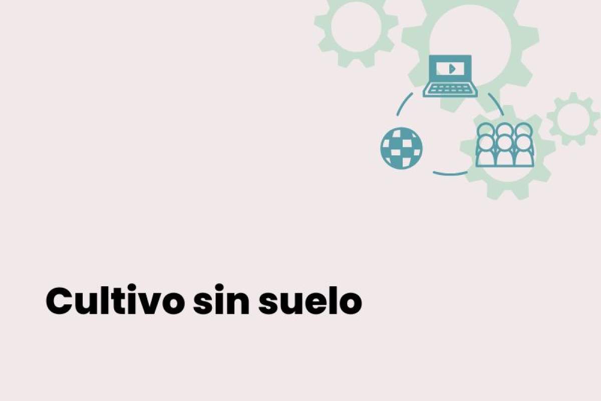 Curso online gratuito sobre cultivos sin suelo