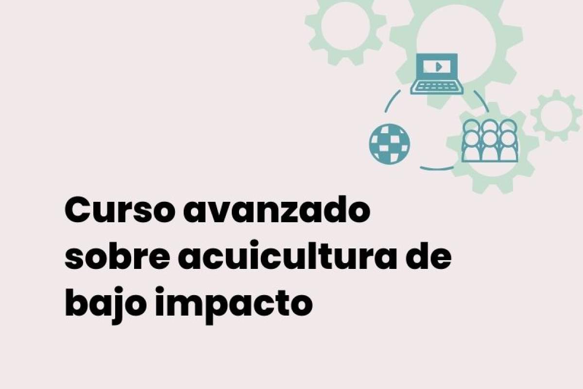El IAMZ organiza en Tarragona un curso avanzado sobre acuicultura de bajo impacto