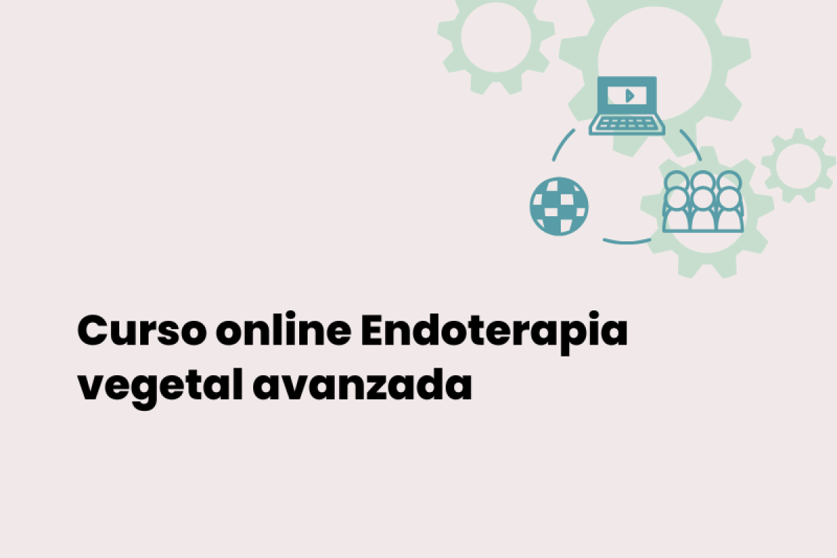 Curso online Endoterapia vegetal avanzada