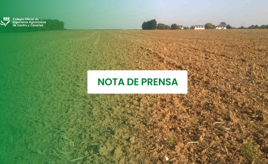 Los ingenieros agrónomos piden mejoras clave en el borrador de la Ley del Suelo para garantizar el futuro del campo canario