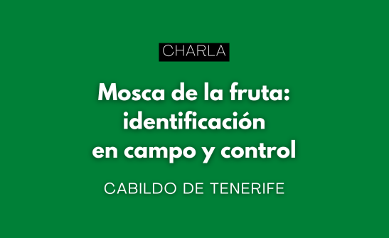 Charla. Mosca de la fruta: identificación en campo y control