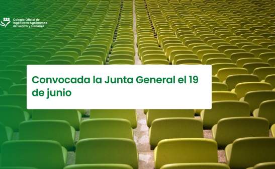 Convocada la Junta General el 19 de junio