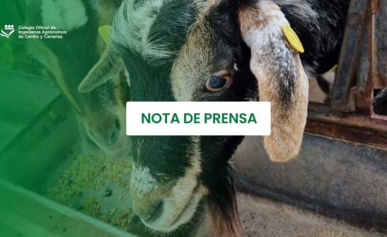 El Colegio de Ingenieros Agrónomos advierte de los riesgos de abordar proyectos ganaderos sin especialistas en producción agroganadera