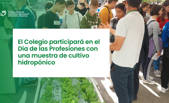 El Colegio participará en el Día de las Profesiones con una muestra de cultivo hidropónico