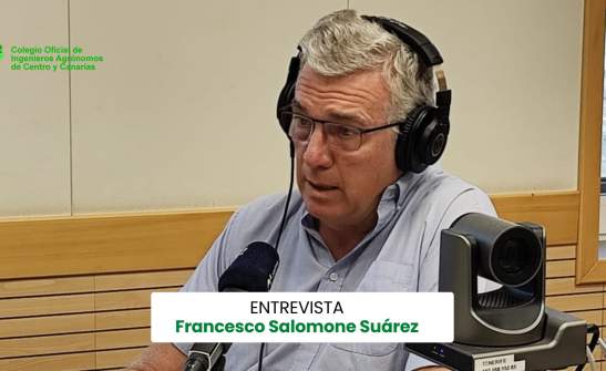 Francesco Salomone: El estudio de las alamedas ayuda a entender el desarrollo de San Cristóbal de La Laguna
