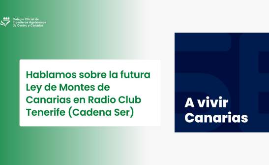 Hablamos sobre la futura Ley de Montes de Canarias en Radio Club Tenerife (Cadena Ser)