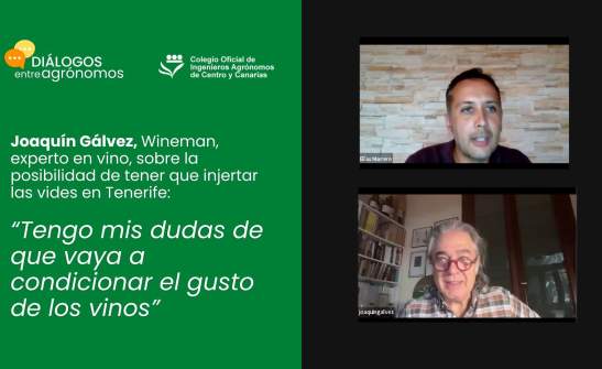 Filoxera. Entrevista a Joaquín Gálvez, Wineman, experto en vino