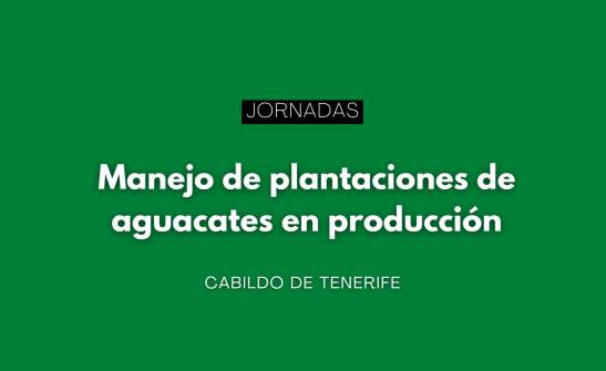 Jornadas de manejo de plantaciones de aguacates en producción