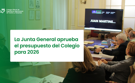 La Junta General aprueba el presupuesto del Colegio para 2026