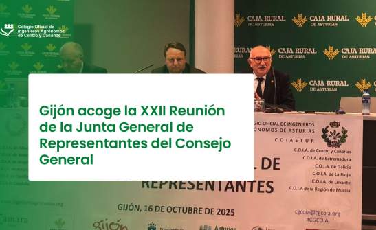 Gijón acoge la XXII Reunión de la Junta General de Representantes del Consejo General