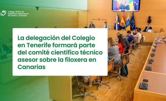 La delegación del Colegio en Tenerife formará parte del comité científico técnico asesor sobre la filoxera en Canarias