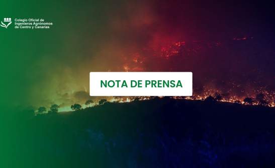 Los incendios dejan una factura invisible para el campo: el humo, la falta de pastos y la recuperación de las explotaciones prolongarán sus efectos durante años