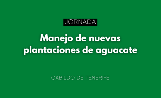 El Cabildo de Tenerife organiza una jornada sobre el manejo de nuevas plantaciones de aguacate en Güímar