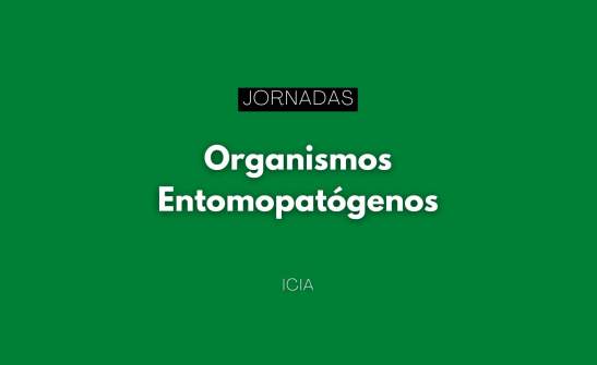 Jornadas sobre organismos entomopatógenos del ICIA