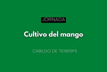 Cultivo del mango
