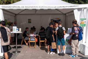 VII Día de las Profesiones de UICM