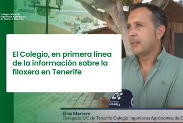 El Colegio, en primera línea de la información sobre la filoxera en Tenerife