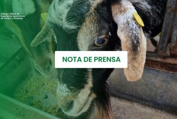 El Colegio de Ingenieros Agrónomos advierte de los riesgos de abordar proyectos ganaderos sin especialistas en producción agroganadera