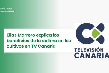 Elías Marrero explica los beneficios de la calima en los cultivos en TV Canaria