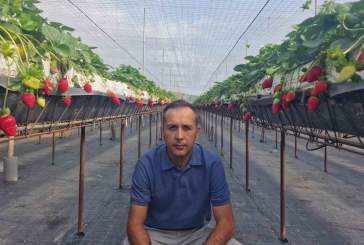 Elías Marrero, nuevo delegado del Colegio Oficial de Ingenieros Agrónomos de Centro y Canarias en Santa Cruz de Tenerife