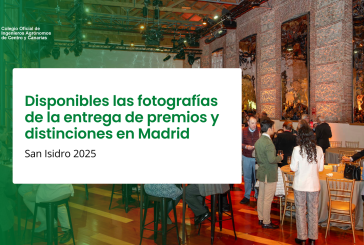 San Isidro 2025: Disponibles las fotografías de la entrega de premios y distinciones en Madrid