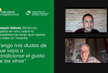 Filoxera. Entrevista a Joaquín Gálvez, Wineman, experto en vino