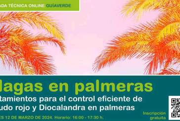 Jornada online sobre tratamientos para el control eficiente de picudo rojo y Diocalandra en palmeras