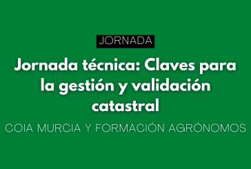 Jornada técnica: Claves para la gestión y validación catastral
