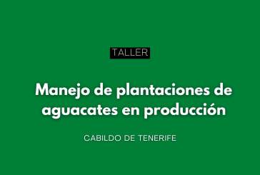 Taller gratuito sobre manejo de plantaciones de aguacate (Tenerife)