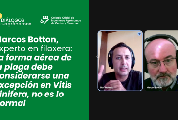 Marcos Botton, experto en filoxera: La forma aérea de la plaga debe considerarse una excepción en Vitis vinifera, no es lo normal