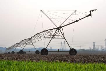 Jornada. El regadío: Producción agrícola competitiva y sostenible (14/11/24)