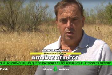 Ingenieros agronomos - Rebanos de fuego