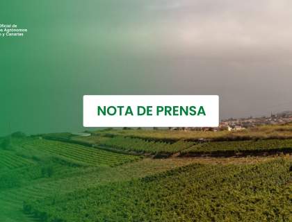 El Colegio de Ingenieros Agrónomos impulsa un espacio de reflexión técnica sobre la filoxera en Canarias