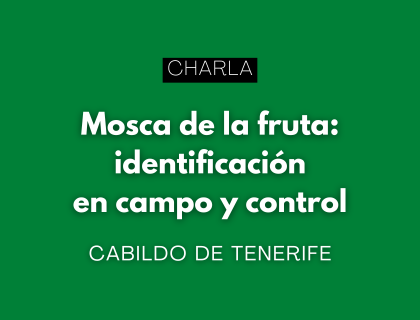 Charla. Mosca de la fruta: identificación en campo y control
