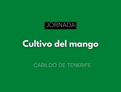 Cultivo del mango