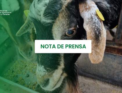 El Colegio de Ingenieros Agrónomos advierte de los riesgos de abordar proyectos ganaderos sin especialistas en producción agroganadera