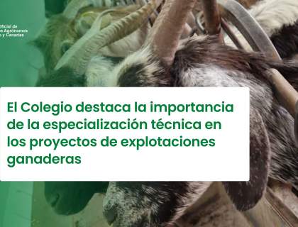 El Colegio destaca la importancia de la especialización técnica en los proyectos de explotaciones ganaderas