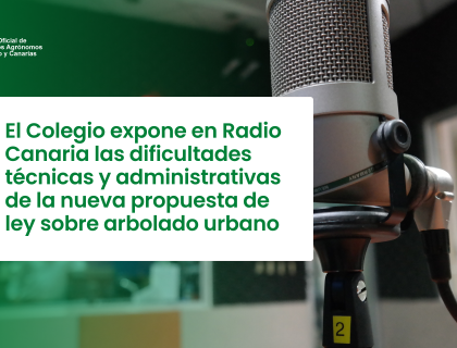 El Colegio expone en Radio Canaria las dificultades técnicas y administrativas de la nueva propuesta de ley sobre arbolado urbano