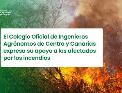 El Colegio Oficial de Ingenieros Agrónomos de Centro y Canarias expresa su apoyo a los afectados por los incendios y reivindica la gestión activa del territorio como herramienta esencial de prevención