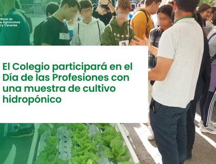 El Colegio participará en el Día de las Profesiones con una muestra de cultivo hidropónico