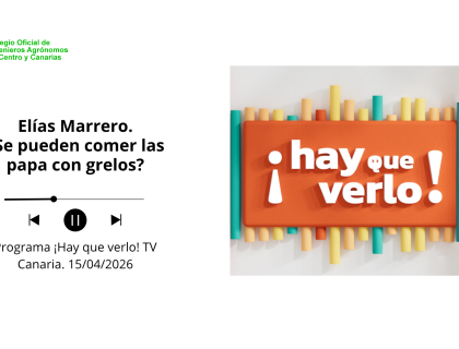 ¿Se pueden comer papas con grelos?