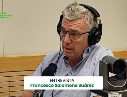 Francesco Salomone: El estudio de las alamedas ayuda a entender el desarrollo de San Cristóbal de La Laguna