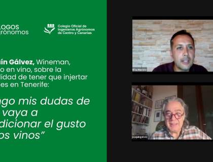 Filoxera. Entrevista a Joaquín Gálvez, Wineman, experto en vino