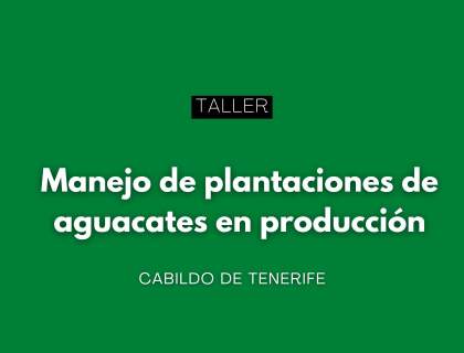 Taller gratuito sobre manejo de plantaciones de aguacate (Tenerife) Taller gratuito sobre manejo de plantaciones de aguacate (Tenerife)