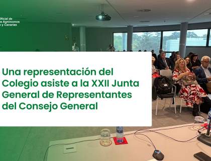 Una representación del Colegio asiste a la XXII Junta General de Representantes del Consejo General