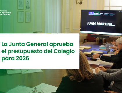 La Junta General aprueba el presupuesto del Colegio para 2026